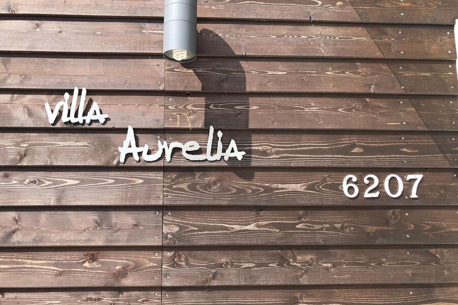 Aurelia